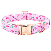 Collar Lionheart Glory San Valentín con flamencos rosa para paseos festivos