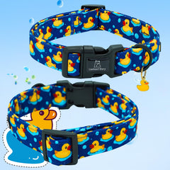 Lionheart glory S collar demonstrates durable, comfort-focused everyday wear.