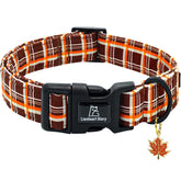Lionheart glory fall plaid dog collar in brown-orange for stylish daily wear and photos.