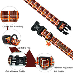 Lionheart glory maple leaf pendant dog collar adds a cute focal point during walks.