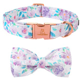 Lionheart Glory Purple Dog Collar with Bowtie on dog for stylish walks