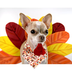 Lionheart Glory washable dog bandana easy-care in cold water.