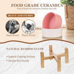 Lionwei dishwasher-safe cat bowl for easy cleaning after feeding.