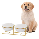 LIONWEI elevated bowls on gold iron stand for ergonomic feeding