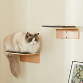 LIORCE 2-set cat wall steps left perch for climbing and lounging.
