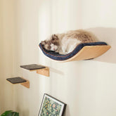 LIORCE cat wall shelf curved bed large enables vertical lounging and safe observation