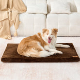 LIORCE dog crate pad 42-inch bed top showing plush surface for cozy rest.