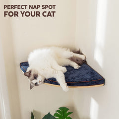 LIORCE floating cat shelf with hidden brackets showing sleek design