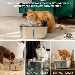 LIPPUP stainless steel cat water fountain close up highlights durable BPA-free construction.