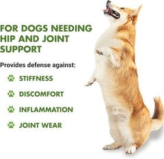 LIQUID-VET K9 Hip & Joint dosing syringe illustrating precise measurement