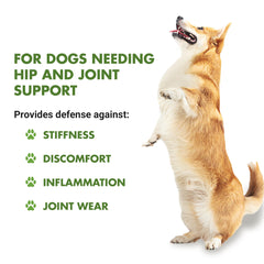 LiquidVet K9 Hip and Joint Wellness dosing syringe demonstrates simple one-dose-per-day routine.