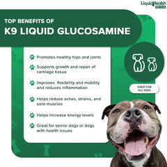 LIQUIDHEALTH Pets K9 bottle on counter with USA-made packaging