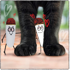LIT LABS Kittie Doobs Love dried catnip leaves show natural, feline-friendly herb for sniffing.