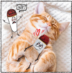 LIT LABS Kittie Doobs Love catnip joints closeup highlights potent herb for playful cats.