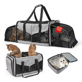 LitaiL cat travel carrier left-compartment for comfortable two-cat lounging.