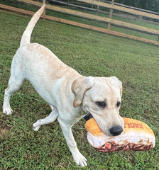 Littlearth Philadelphia Eagles cheesesteak toy squeaker interior encourages playful chewing