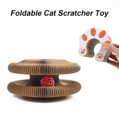 Lktvys Kitty Curlz magnetic joints enable easy shape changes for curiosity.