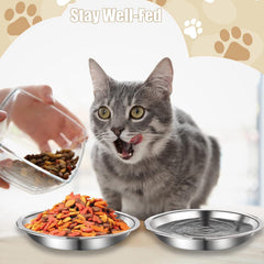 Lmisraely whisker-friendly bowl close-up shows shallow rim for comfortable meals.