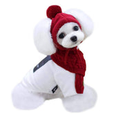 Lobagve Van Caro knitted doggie scarf and hat set in red keeps small dogs warm