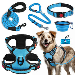 Lobeve no-pull harness blue-XL set provides comfortable training during walks.