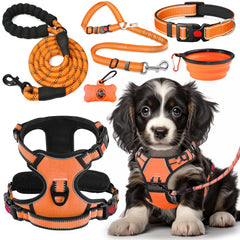 Lobeve No-Pull Harness Orange-M on dog walk reduces neck strain and improves control.