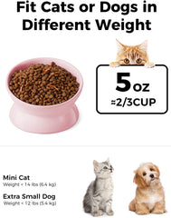 LoeJan ceramic raised cat bowl 5oz pink for clean, easy feeding
