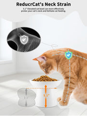 LoeJan elevated whisker-friendly tray keeps whiskers comfortable during meals