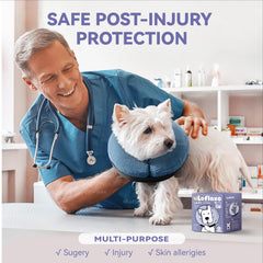 Loflaze inflatable dog cone collar blue XL worn on a dog during recovery for eating