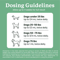 Lolahemp calming drops illustrate soothing relief for stressed pets.