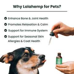 Lolahemp Colorado family farm highlights artisanal origin and small-batch quality.