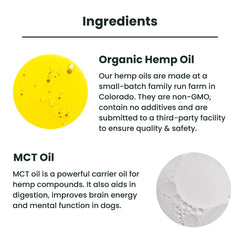 Lolahemp joint-support scene signals potential mobility help for aging pets.