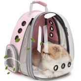 LOLLIMEOW bubble window panoramic view enhances pet visibility during travel