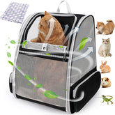 LOLLIMEOW Cat Backpack Carrier with breathable mesh keeps pets cool and visible.
