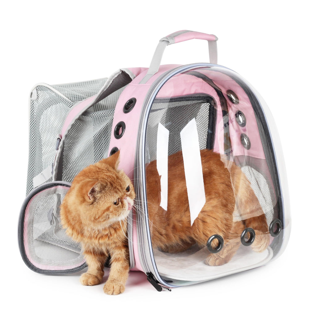 Lollimeow cat carrier backpack bubble window offering safe outdoor visibility during travel