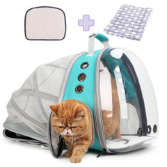 Lollimeow bubble window carrier backpack view for pets observing surroundings during travel