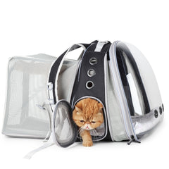 LOLLIMEOW expandable backpack bubble window for travel-ready pets and curious observation