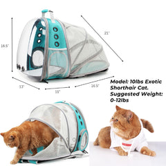 Lollimeow expandable interior space showing extra room for resting on trips