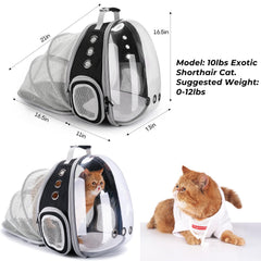 LOLLIMEOW expandable design backpack adds extra space for relaxed pet comfort