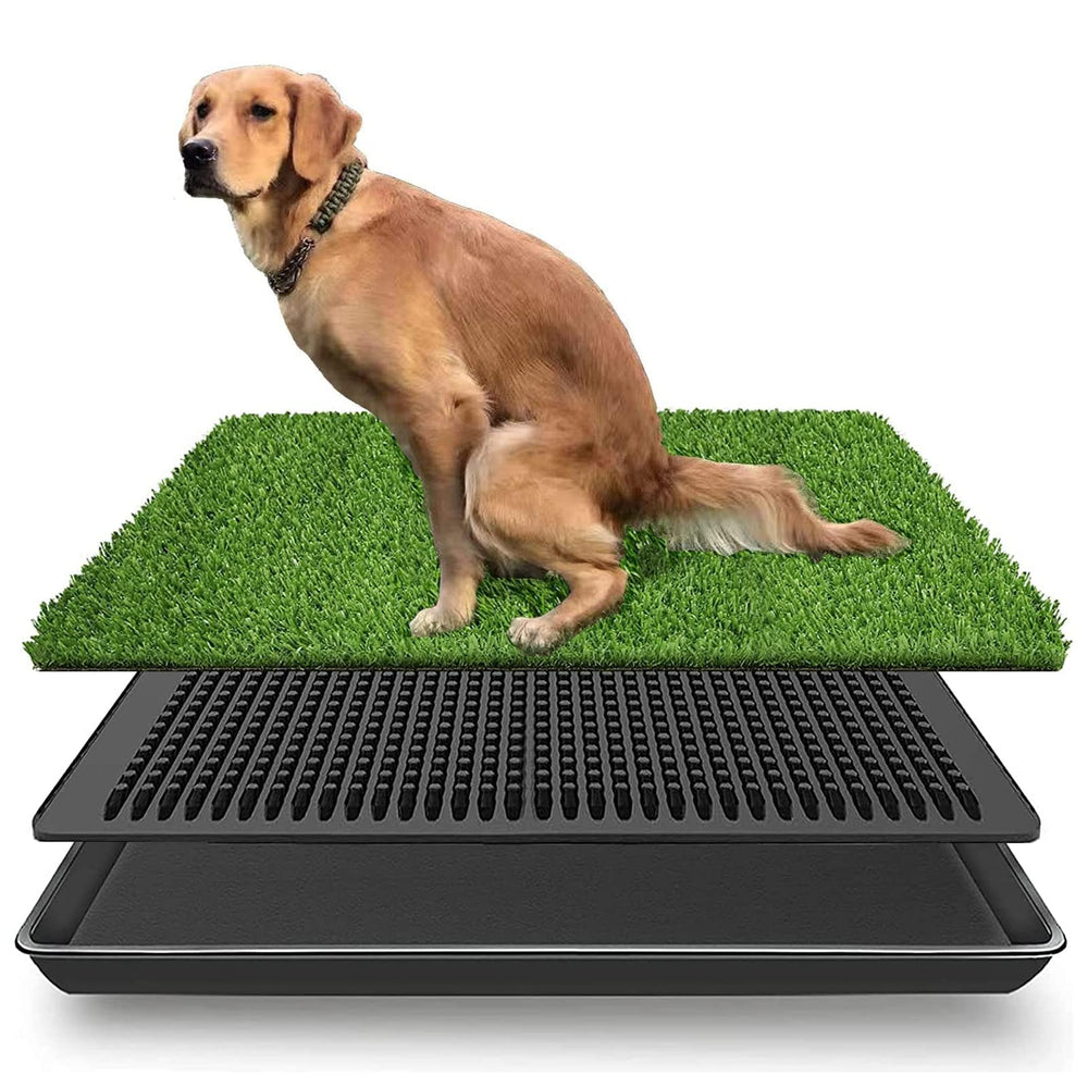 LOMANTOWN dog grass pad tray side view shows easy-clean, versatile indoor-outdoor use.