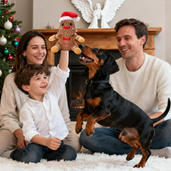 loncoldy small dog gingerbread toy offers gentle chew and engagement