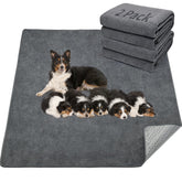 LOOBANI 2-pack dog mat gray coverage shows large surface area for mess control