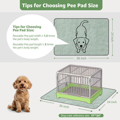 LOOBANI 2-pack reusable puppy pads simplify quick replacements during training sessions.