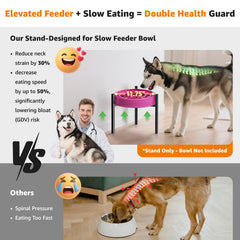 LOOBANI dog bowl stand at 9.76-inch height promoting ergonomic feeding