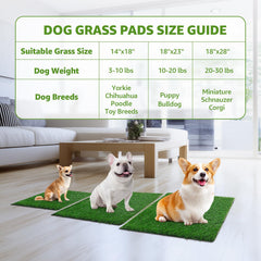 LOOBANI dog grass pee pad easily washable for hassle-free maintenance.