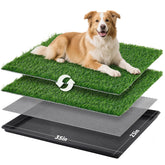 LOOBANI dog litter box 35x23 large tray shows ample space for larger dogs