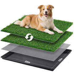 LOOBANI dog litter box 35x23 large tray shows ample space for larger dogs