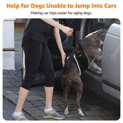 LOOBANI dog sling on stairs shows safer ascent for elderly dogs.