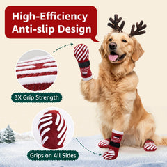 LOOBANI paw-protective socks shield paws on hot pavements and cold floors.