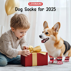 LOOBANI dog socks paw-protector-on-dog highlights paw protection during indoor play.