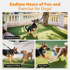 LOOBANI dog tug-play setup enables solo outdoor entertainment